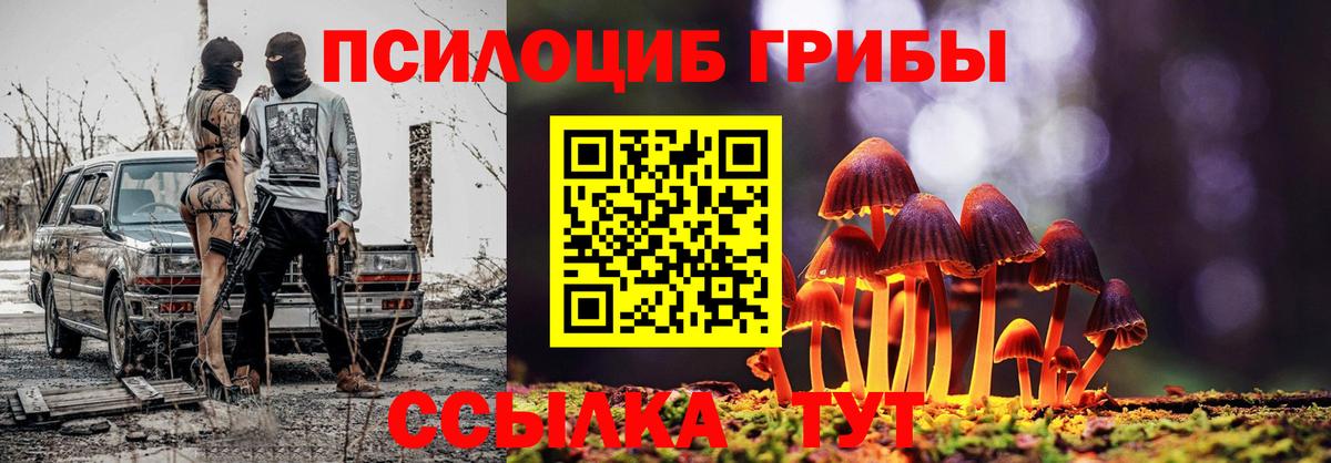 Псилоцибиновые грибы MAGIC MUSHROOMS  Вход с VPN  Бирск 